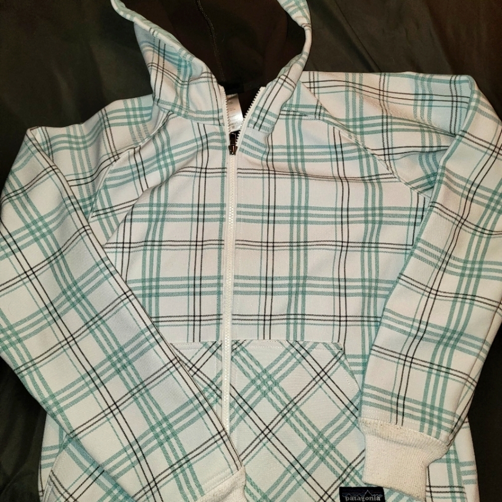 Patagonia zip up hoodie
